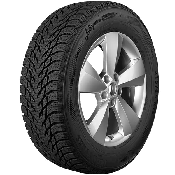 255/45R20 Ikon Autograph Snow 3 SUV 105T лип.